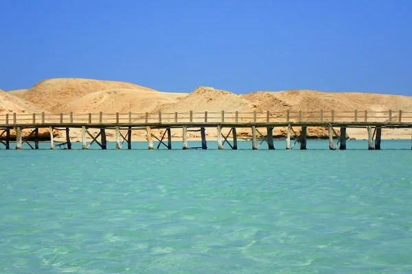 Beauté Taupe Mer Bois Egypte — Photo