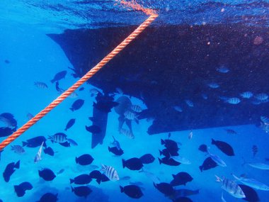 Mısır denizde güzel seyahat arka plan olarak tekne   