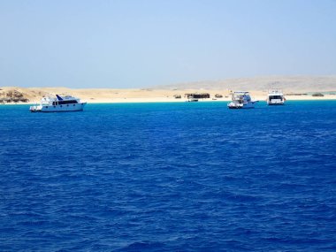 Mısır red Sea'deki/daki deniz tekneden görüntülemek