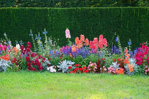 Muy bonito jardín de verano — Foto de Stock