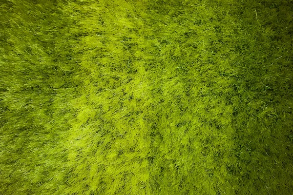 Textura tapete de grama verde de plástico — Fotografia de Stock