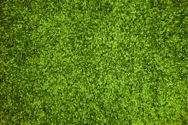 Kunststoff grünes Gras Teppich Textur — Stockfoto