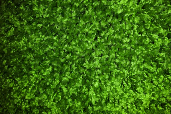 Textura tapete de grama verde de plástico — Fotografia de Stock