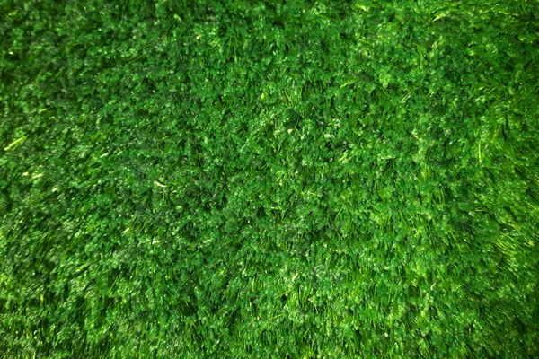 Textura tapete de grama verde de plástico — Fotografia de Stock