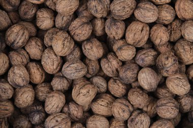 taze duvar fıstığı dokusu