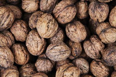 taze duvar fıstığı dokusu