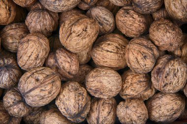 taze duvar fıstığı dokusu