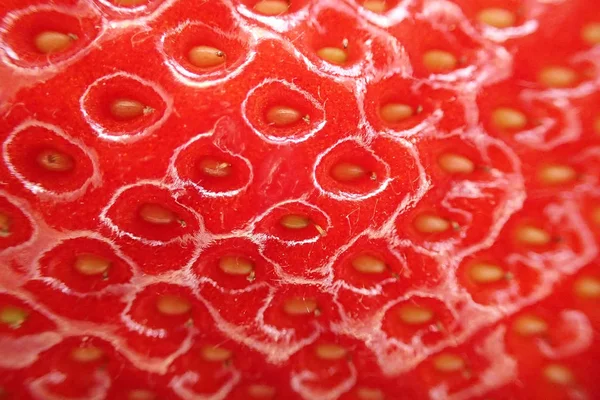 Texture fraise fraîche — Photo