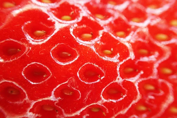 Texture fraise fraîche — Photo