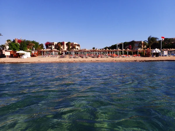 Beach in the egypt — Stock Photo, Image