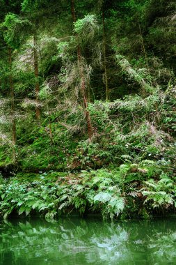 küçük bir gemiden kamenice nehri