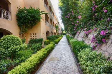 Yeşil otel bahçesinde Mısır