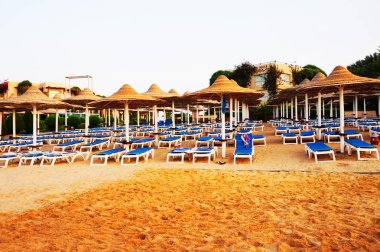 Mısır'da Beach