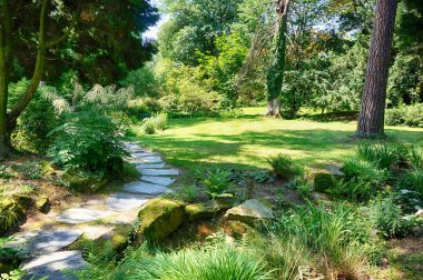 çok güzel yeşil park