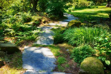 çok güzel yeşil park