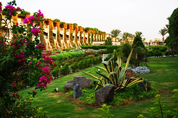 Giardino verde dell'hotel in Egitto — Foto Stock