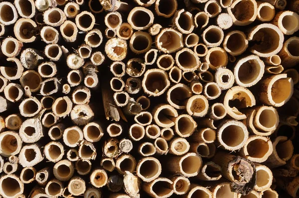 Detail of insect hotel — Stock Photo, Image