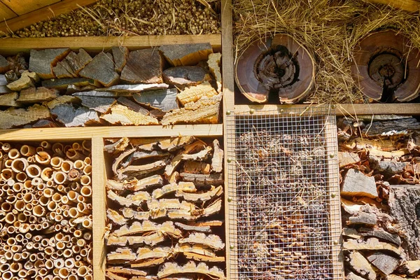 Detail of insect hotel — Stock Photo, Image