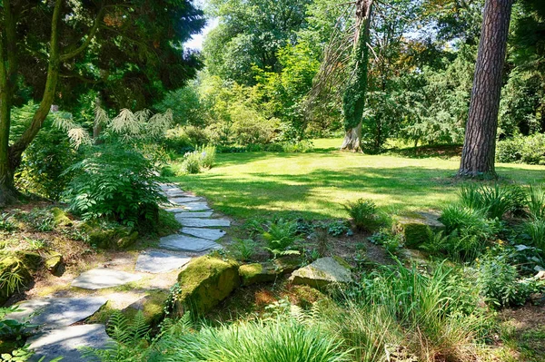 çok güzel yeşil park