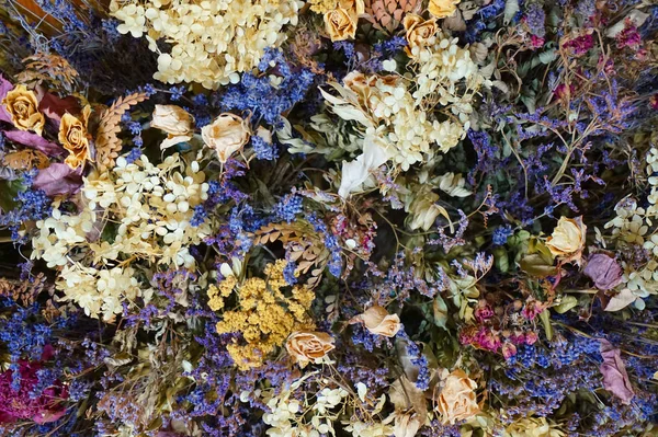Colore essiccato fiore texture — Foto Stock