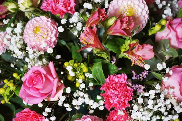 Rengi gül arka plan