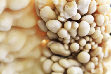 kalsit sarkıt mineral dokusu