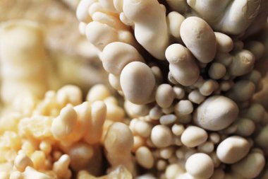 kalsit sarkıt mineral dokusu