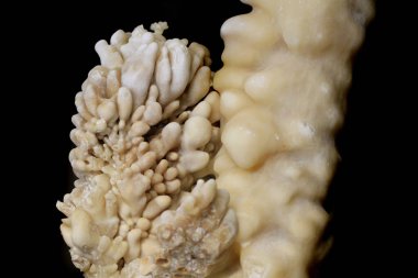kalsit sarkıt mineral dokusu
