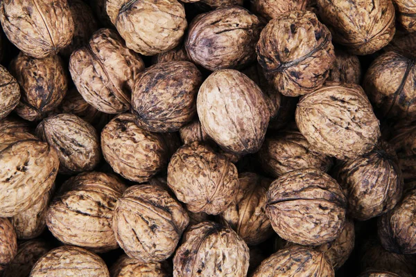 taze duvar fıstığı dokusu