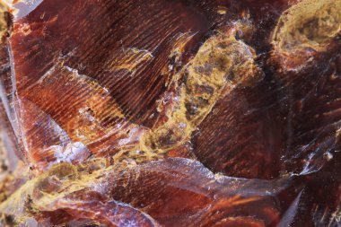 ahşap opalit mineral dokusu