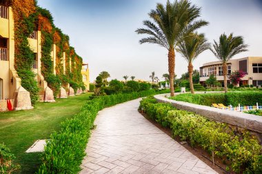 Yeşil otel bahçesinde Mısır