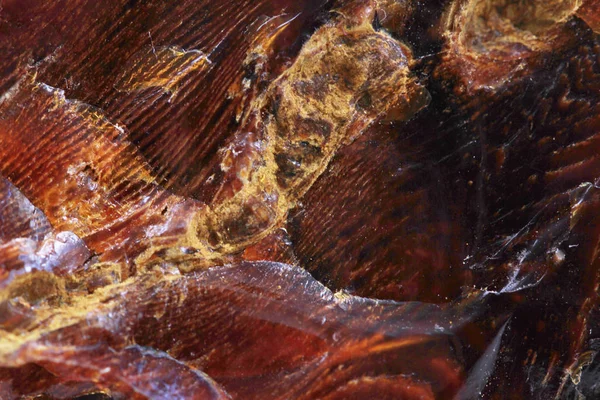 Textura mineral de opalita de madera — Foto de Stock