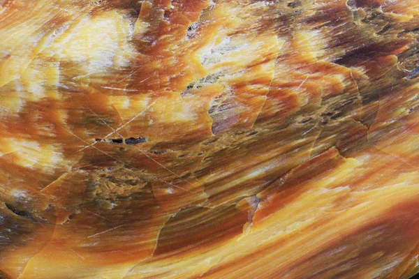 Opalite struttura minerale di legno — Foto Stock