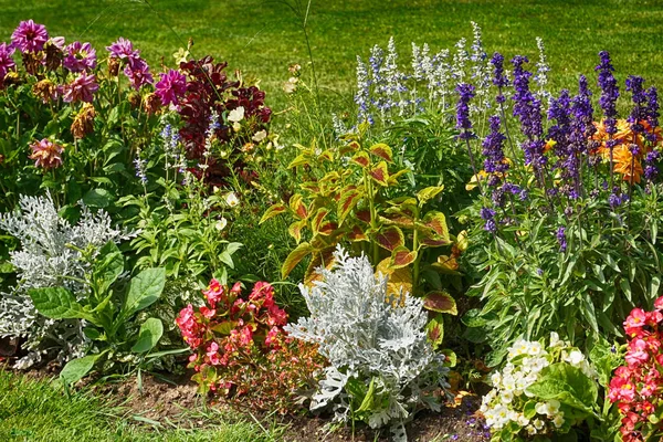 Jardín de verano verde en la zona del castillo de Lednice — Foto de Stock