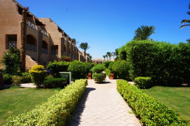 Yeşil otel bahçesinde Mısır