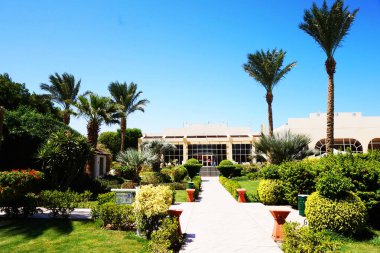 Yeşil otel bahçesinde Mısır