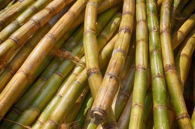 şeker kamışı doku güzel doğal arka plan olarak