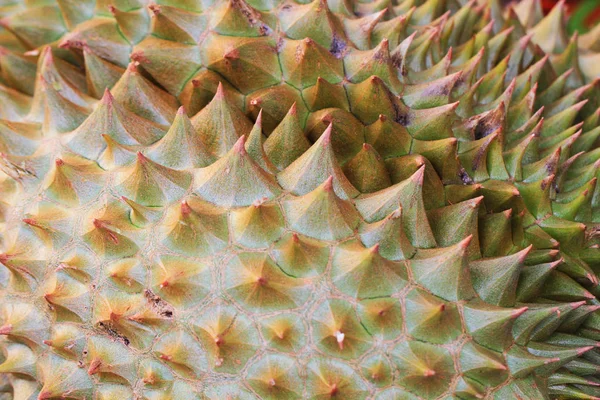 Textura de fruta duriana —  Fotos de Stock