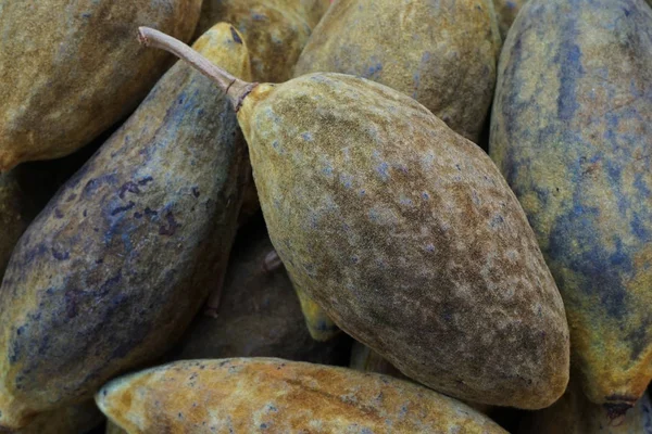 Свежие плоды баобаба — стоковое фото