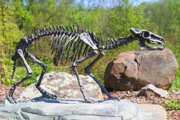 Esqueleto de cavalo Eohippus — Fotografia de Stock