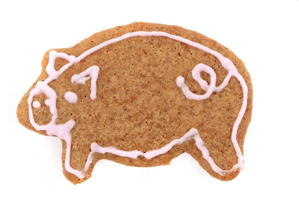 Christmas ginger bread pig isolated — Stock Photo, Image