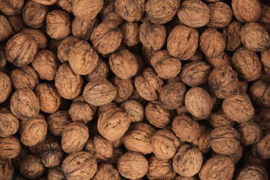 taze duvar fıstığı dokusu