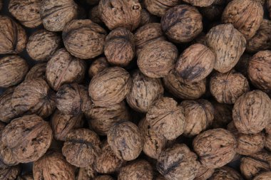 taze duvar fıstığı dokusu