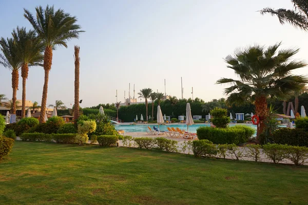Green hotel garden in Egypt — Stock Photo, Image