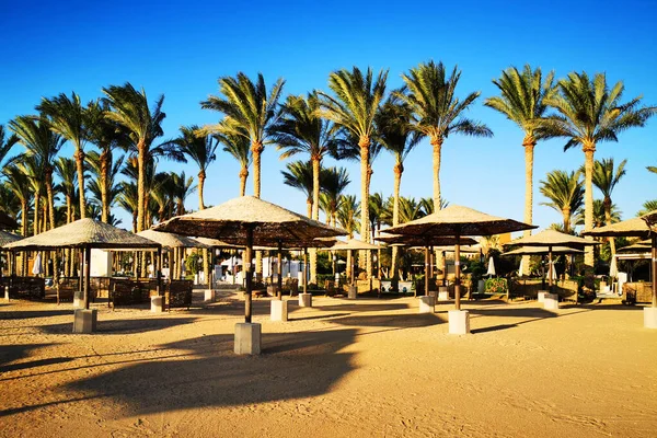 Strand Ägypten Als Sehr Schöner Hintergrund — Stockfoto