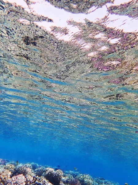 Barriera Corallina Egitto Come Sfondo Naturale Molto Bello — Foto Stock