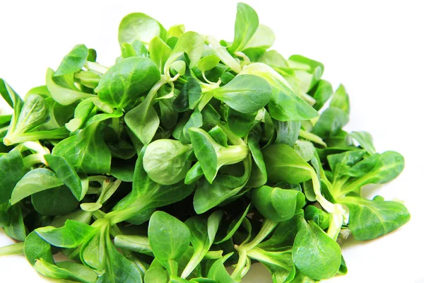 Lamm Sallad Isolerad Den Vita Bakgrunden — Stockfoto