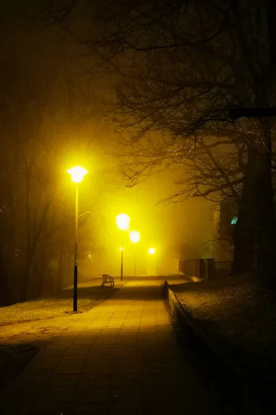 fog in the park in the dark night