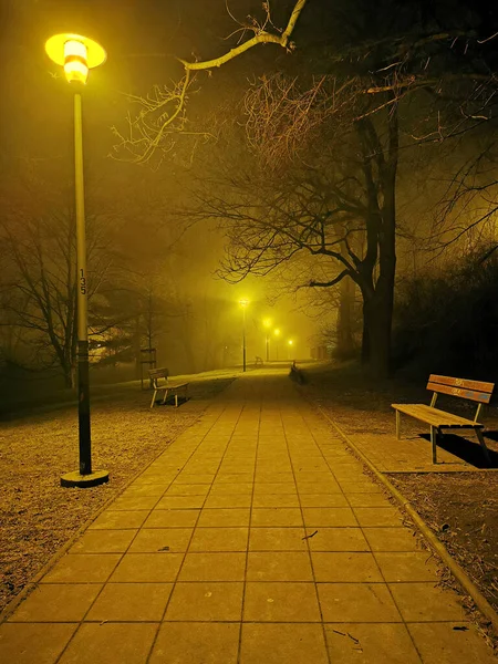 Brouillard Dans Parc Dans Nuit Noire — Photo