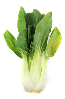 Pac-choi geleneksel Çin sebzeleri beyaz arka planda izole edilmiş.